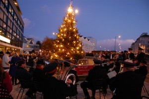 Tree of Light 2009  