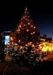 Tree of Light 2008