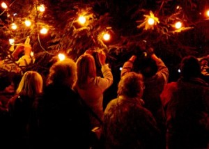 Tree of Light 2008