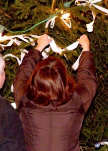 Tree of Light 2008